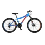 Bicicleta MTB Raleigh Junior Scout Rodado 24 Azul