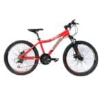 Bicicleta MTB Raleigh Junior Scout Rodado 24 Roja
