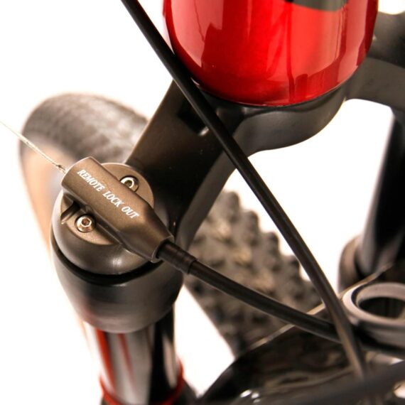 Bicicleta-MTB-Zion-Strix-R29-Aluminio-Bordo-05