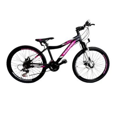 Bicicleta MTB Raleigh Junior Scout Girl R24 Negra