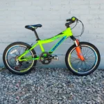 Bicicleta Usada para Niño Raleigh Rowdy Junior Aluminio R20 Verde