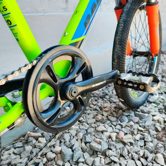 Raleigh Rowdy Junior Aluminio R20 Verde 06