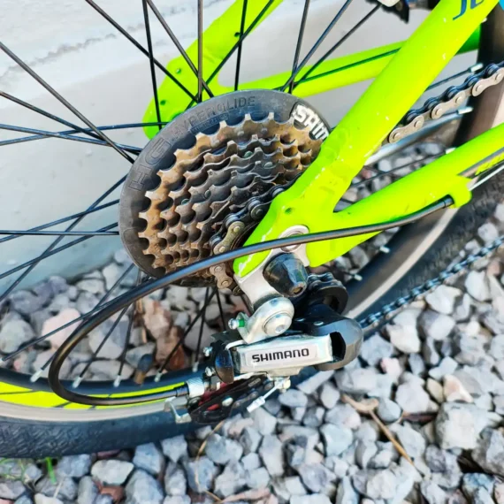 Raleigh Rowdy Junior Aluminio R20 Verde 07