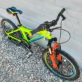 Raleigh Rowdy Junior Aluminio R20 Verde 09